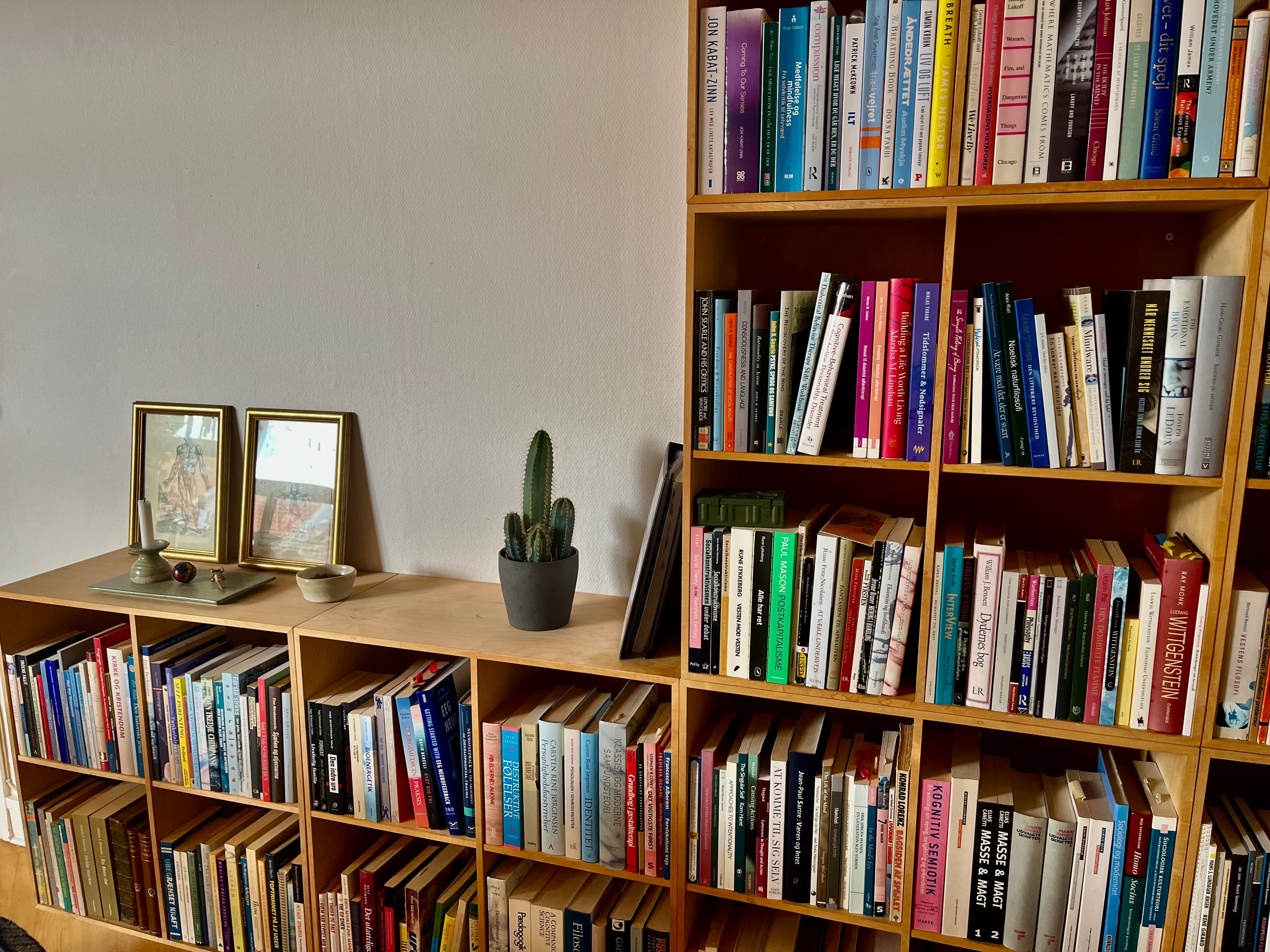 Bogsamling og bibliotek