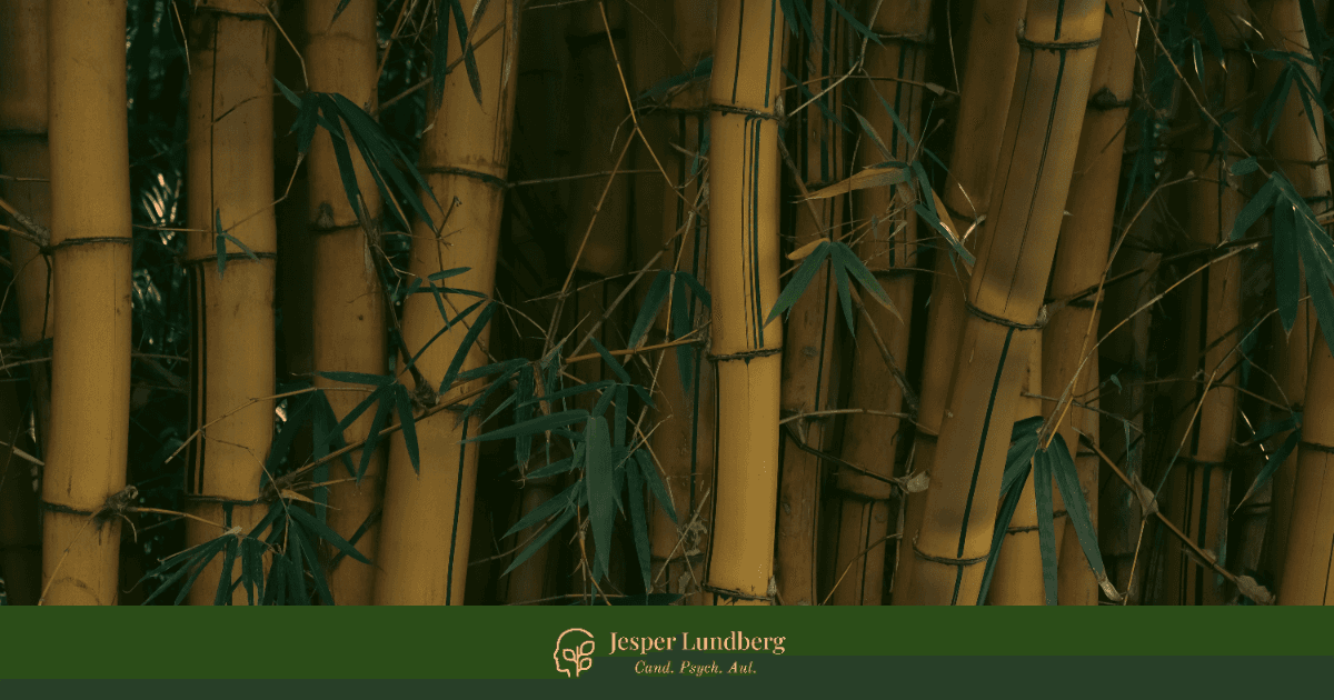 Hvordan DBT og ACT samarbejder om behandling af borderline